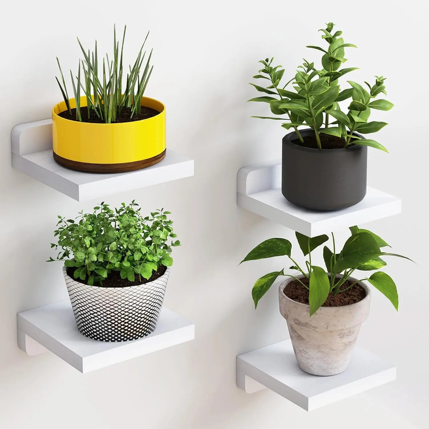 Wood Floating Shelves 5 Inch Display Ledges 4-Pack