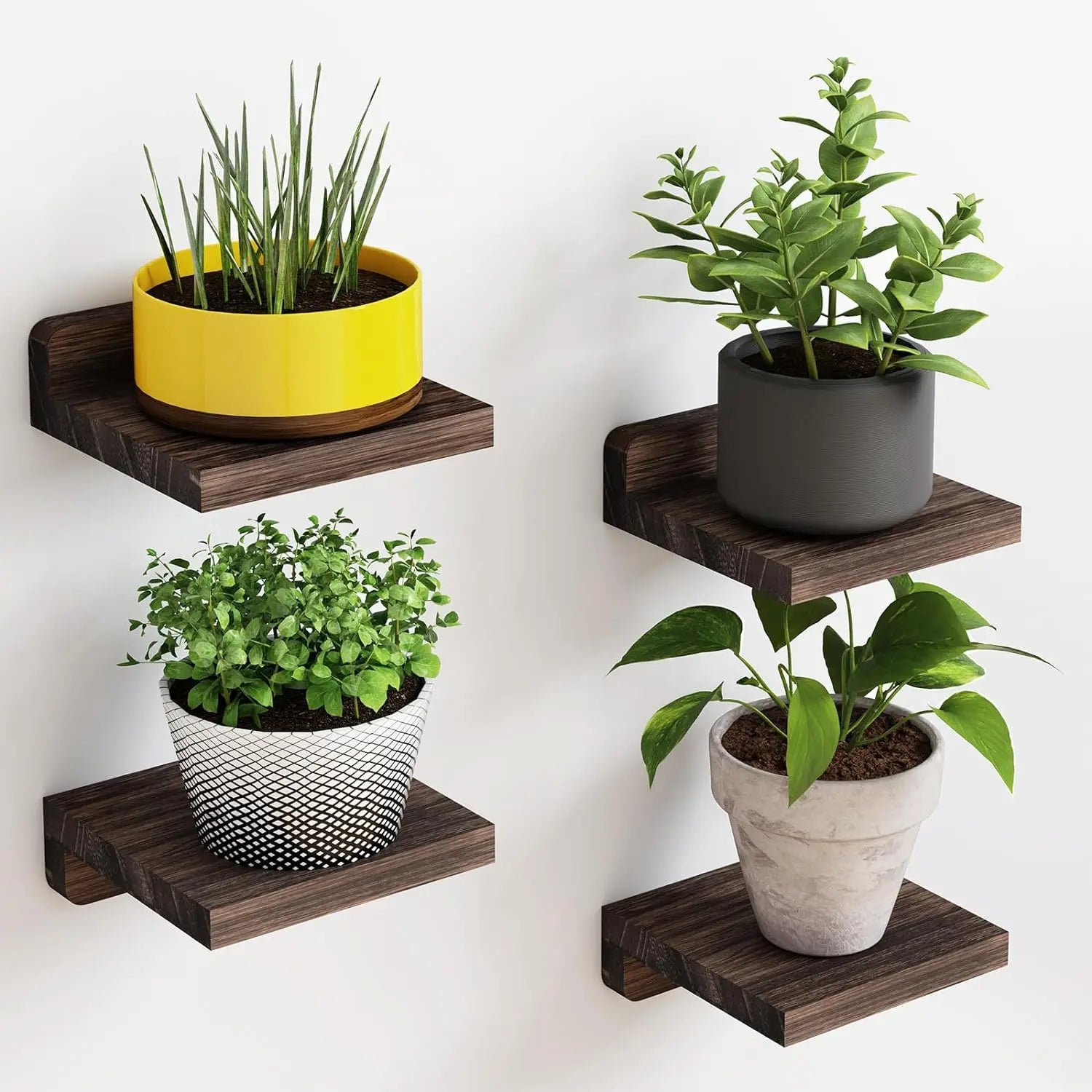 Wood Floating Shelves 5 Inch Display Ledges 4-Pack