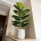 85cm Artificial Ficus Lyrata with 23 Leaves for Home Decoration