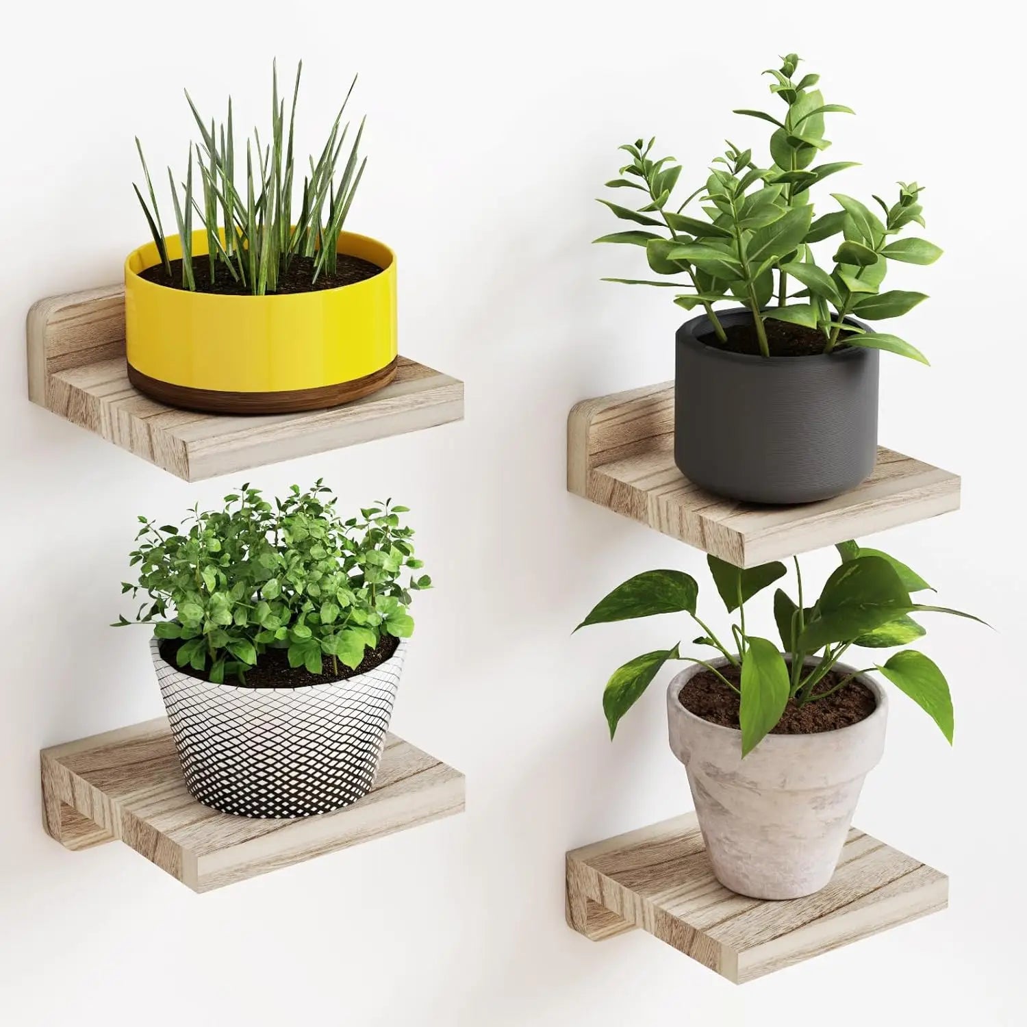 Wood Floating Shelves 5 Inch Display Ledges 4-Pack